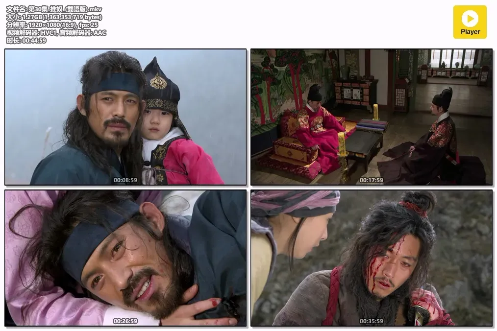 【推奴 / 张赫 巅峰作】(2010) 粤韩双语 1080P 电影级硬核动作武侠韩剧全集下载 4