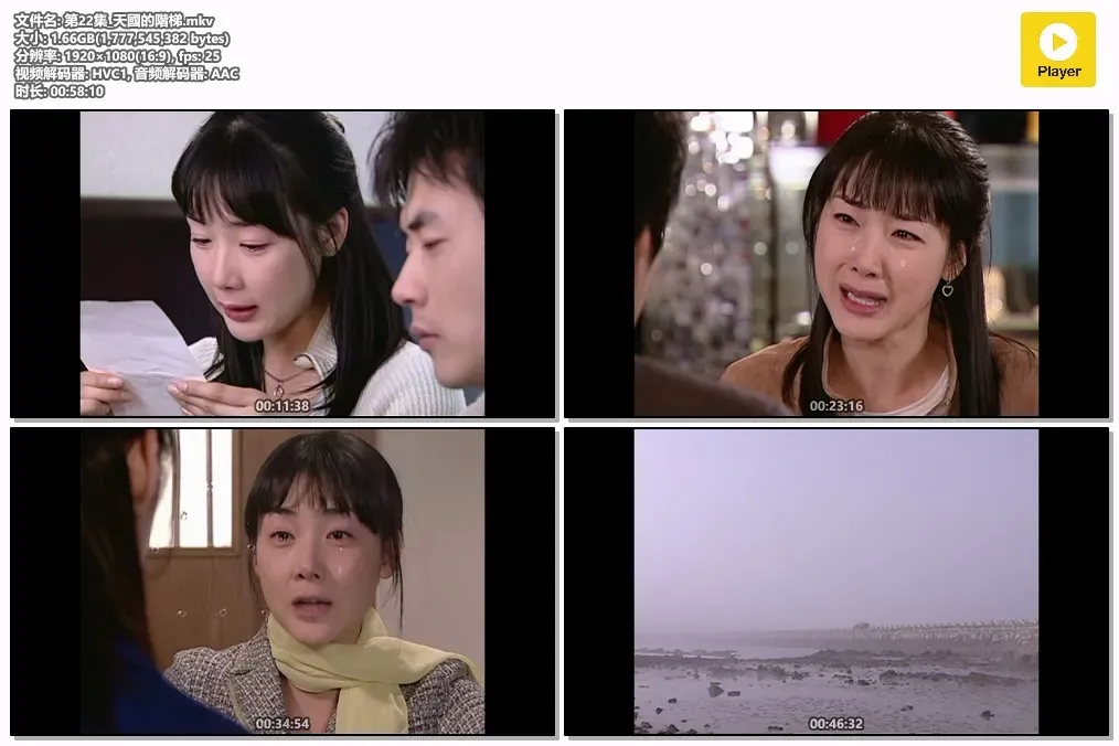 【天国的阶梯 / 权相佑 崔智友】(2003) 粤韩双语 1080P 经典韩流鼻祖虐恋剧全集下载 4