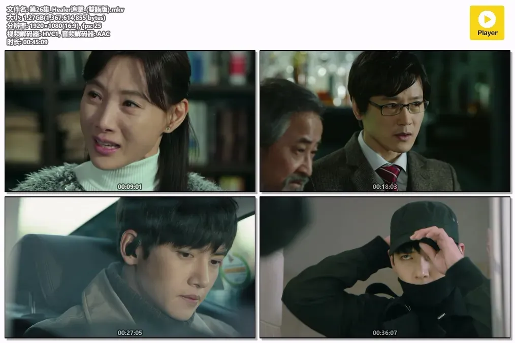 【Healer追击 / 治愈者】(2014) 粤韩双语 1080P 池昌旭 朴敏英 巅峰动作爱情韩剧全集下载 4