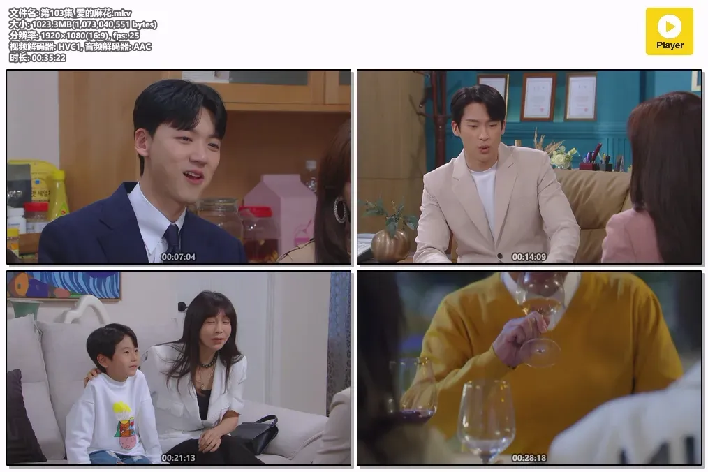 【爱的麻花 / 含恩静】(2021) 粤韩双语 1080P 全103集 高能家庭爱情喜剧全集下载 4