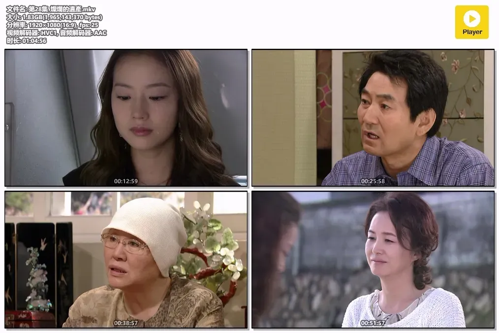 【灿烂的遗产 / 韩孝周 李昇基】(2009) 粤韩双语 1080P 经典励志爱情韩剧全集下载 4