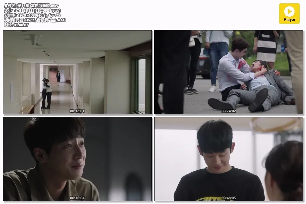 【当你沉睡时 / 李钟硕 裴秀智】(2017) 粤韩双语 1080P 奇幻悬疑爱情巅峰全集下载 4