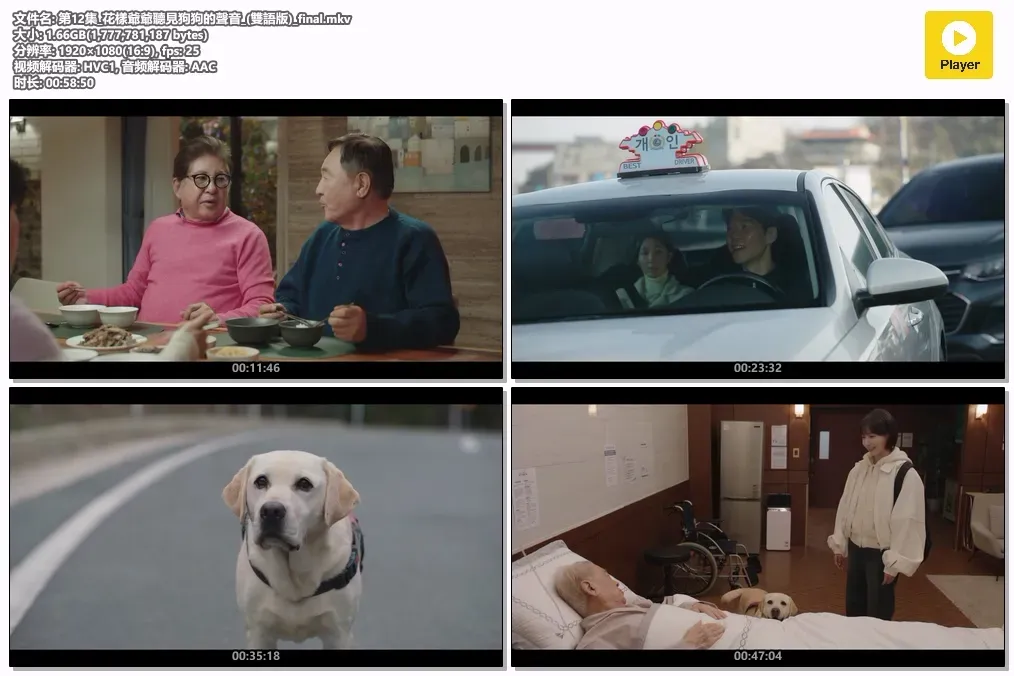 【花样爷爷听见狗狗的声音 / 狗叫声】(2024) 粤韩双语 1080P 李顺载 奇幻悬疑喜剧全集下载 4