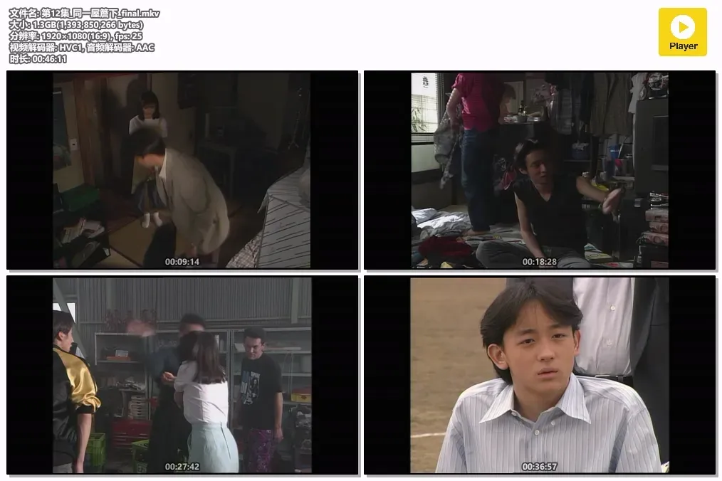 【同一屋檐下 / 江口洋介 福山雅治】(1993) 粤日双语 1080P 柏木家经典亲情治愈日剧全集下载 4