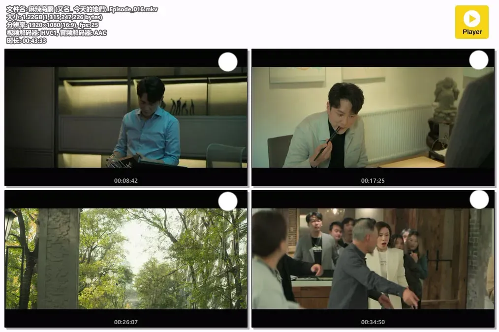 【麻辣商骄 / 今天的她们】(2024) 粤国双语 1080P 佘诗曼 宋轶 励志女性美食剧下载 2