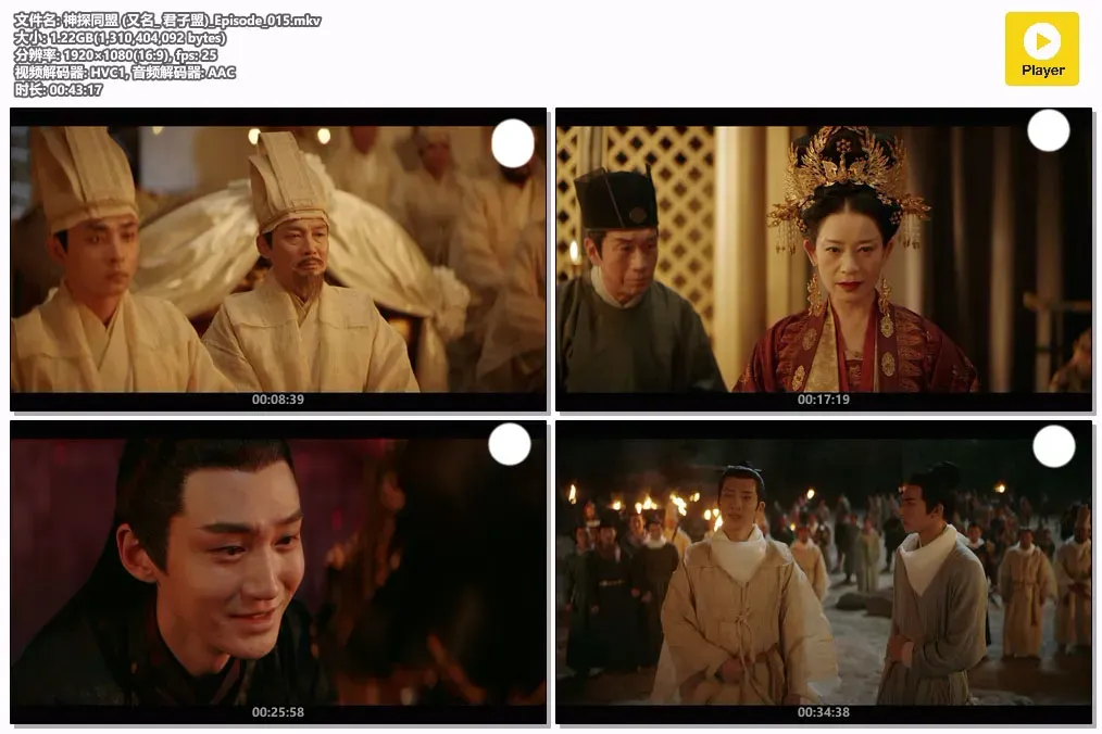 【神探同盟 / 君子盟】(2023) 粤国双语 1080P 井柏然 宋威龙 唯美悬疑古装探案剧下载 2