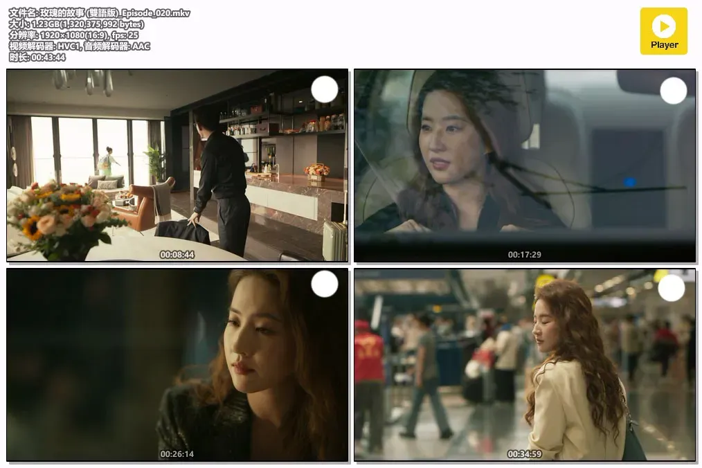 【玫瑰的故事 / 刘亦菲 霍建华】(2024) 粤国双语 1080P 亦舒原著都市女性史诗全集下载 2