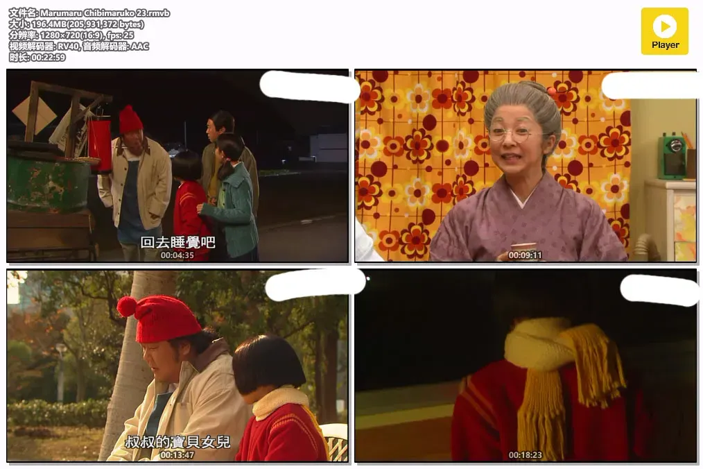 【樱桃小丸子 真人版连续剧 / 伊藤绮夏 酒井法子】(2007) 粤语配音 720P 怀旧治愈亲子剧下载 2