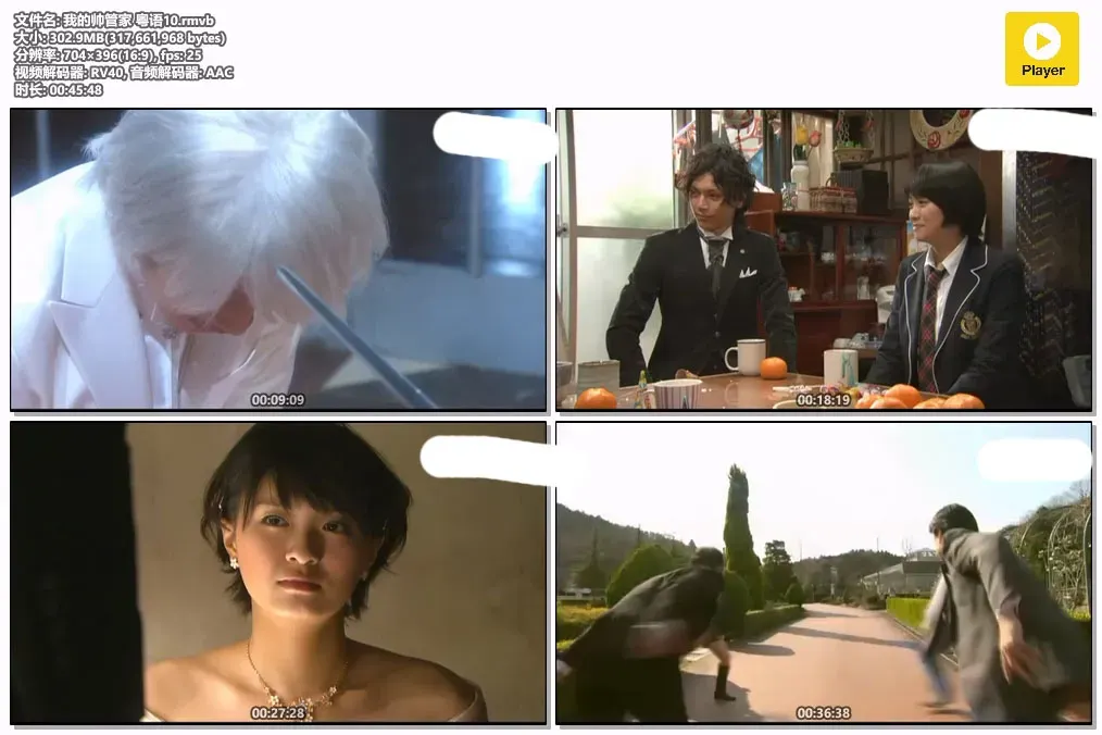 【我的帅管家 / 水岛宏 佐藤健】(2009) 粤语配音 怀旧经典校园漫改偶像剧全集下载 2