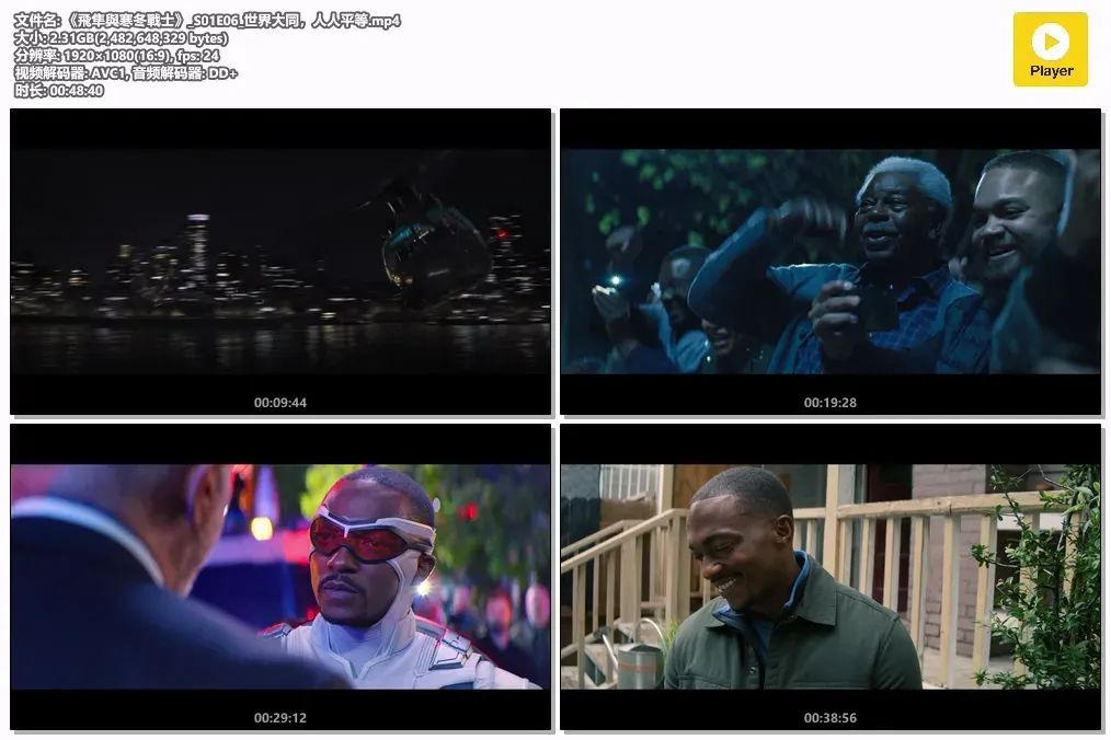 【猎鹰与冬兵 / 漫威电影宇宙】(2021) 国英双语 1080P 漫威高分限定剧全集下载 2