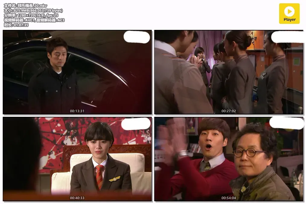 【拜托机长 / 池珍熙 具惠善】(2012) 粤韩双语 720P 航空励志职场爱情韩剧下载 2