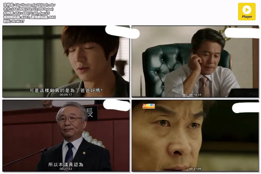 【城市猎人 / 李敏镐 朴敏英】(2011) 粤语配音 480P 经典硬核动作谍战韩剧下载 2