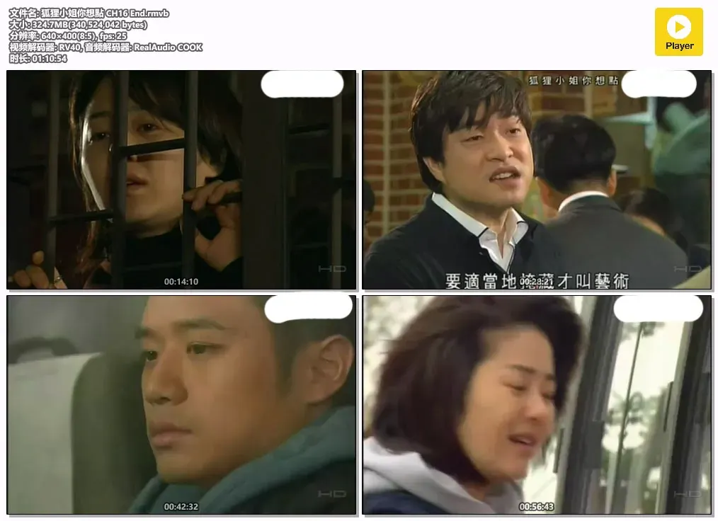 【狐狸小姐你想点 / 高贤贞 千正明】(2006) 粤语配音 标清 经典高分姐弟恋浪漫喜剧下载 2