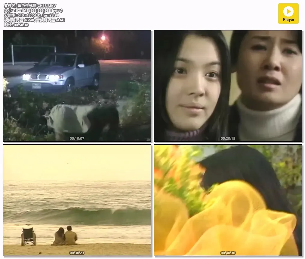 【蓝色生死恋 / 宋慧乔 宋承宪 元斌】(2000) 粤语配音 480P 经典韩流鼻祖纯爱剧下载 2