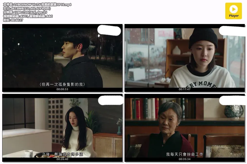 【完美的家族 / 金炳哲 尹世雅】(2024) 粤语配音 720P 年度硬核惊悚悬疑韩剧下载 2