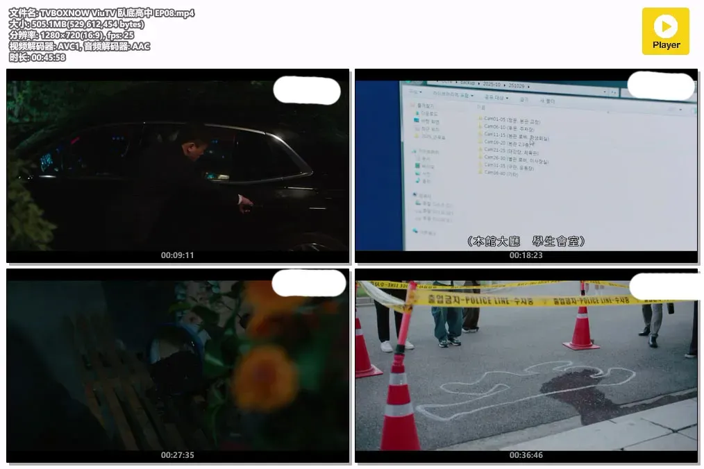 【卧底高中 / 徐康俊 秦基周】(2025) 粤语配音 720P 热血爆笑动作校园韩剧全集下载 2