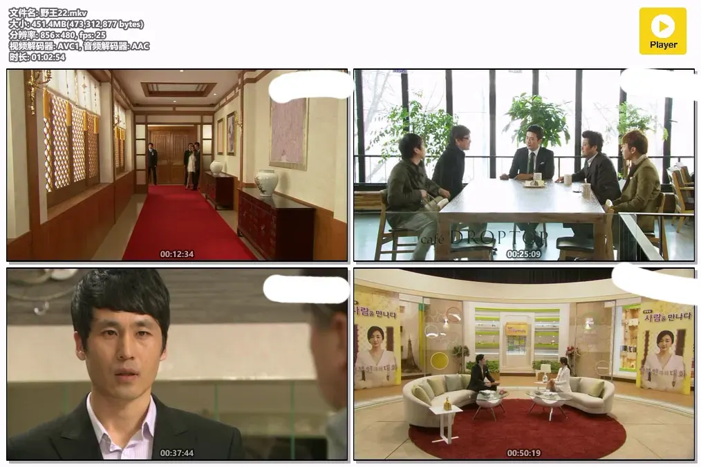 【野王 / 权相佑 秀爱 郑允浩】(2013) 粤语配音 480P 经典暗黑复仇悬疑韩剧下载 2