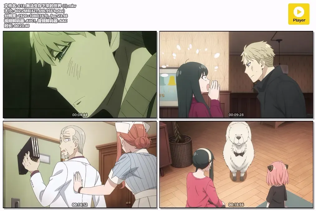 【间谍家家酒 第3季 / SPY×FAMILY S3】(2025) 粤日双语 1080P 顶级热血治愈动漫全集下载 2