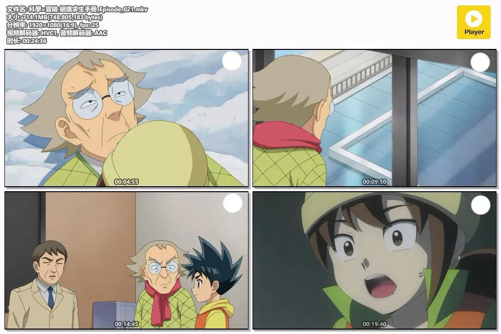 【科学×冒险 绝境求生手册 / 科学漫画生存系列】(2024) 粤日双语 1080P 高清科普益智动画下载 2