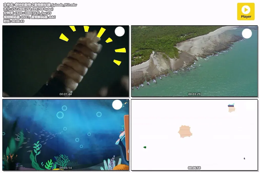 【奇妙的动物之动物新纪录】(2021) 粤国双语 1080P 高清少儿科普百科动画下载 2