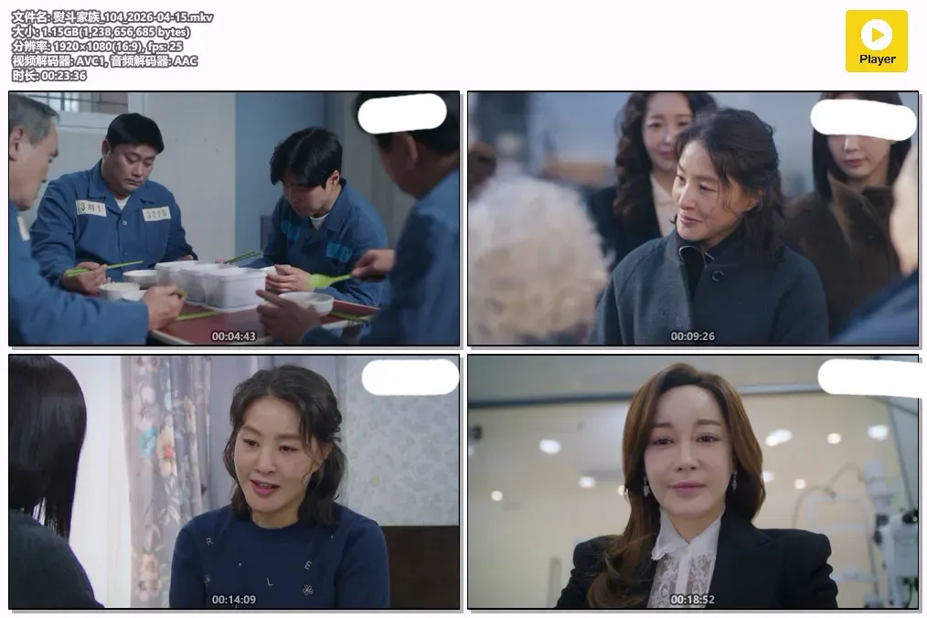 【熨斗家族 / 金正贤 琴赛璐】(2024) 粤韩双语 1080P 蓝光超清韩式家庭励志剧下载 2