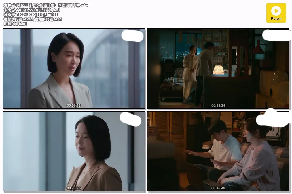【时光正好 / 秦海璐 保剑锋】(2024) 粤国双语 1080P 全高清都市家庭治愈剧下载 2