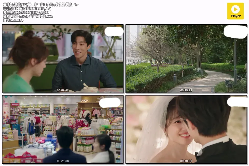 【滤镜 / 32集全】(2025) 粤国双语 1080P 全高清奇幻都市爱情剧下载 2