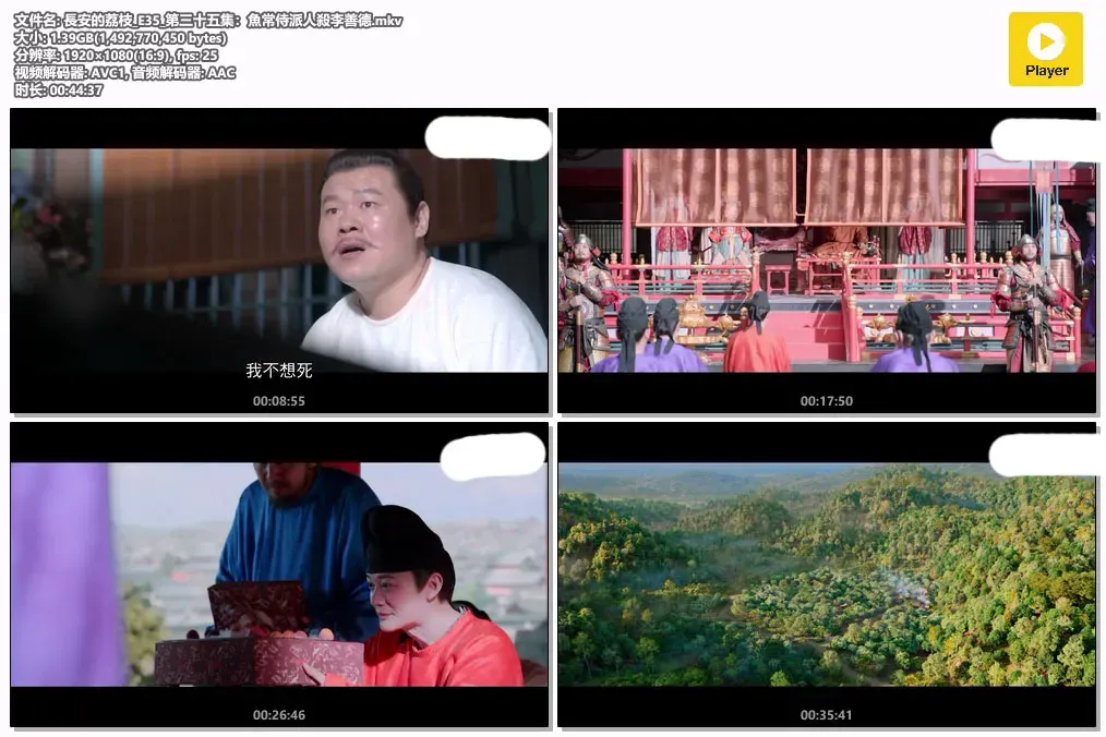 【长安的荔枝 / 35集全】(2025) 粤国双语 1080P 全高清古装历史权谋剧下载 2